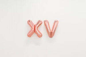 XV- Galerie 22,48m2 - Komunuma
