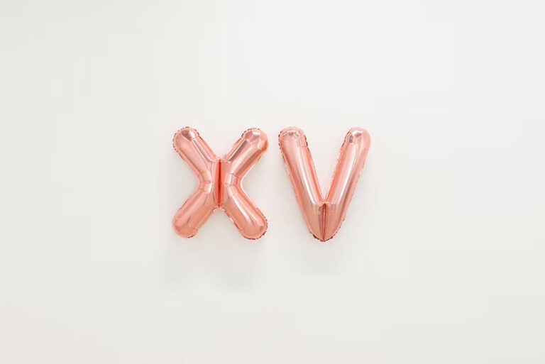 XV- Galerie 22,48m2 - Komunuma