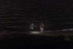 Prix Coal La Nuit 2026