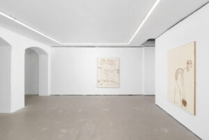 Silverpoint Drawings, Daniel Blumberg